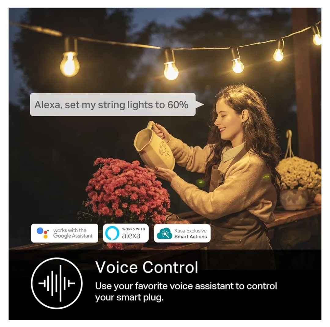 Kasa Smart Wi-Fi Outdoor Dimmer - photo 4