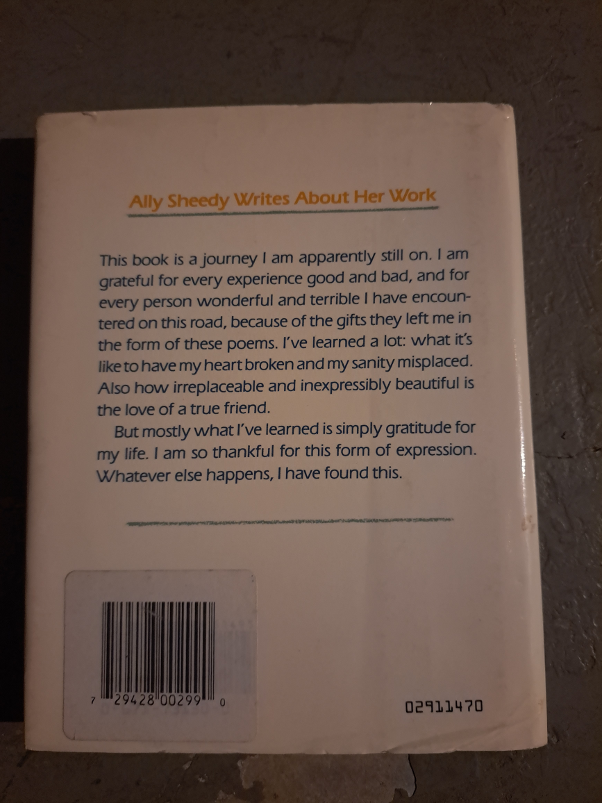 Yesterday I Saw The Sun: Poems by Ally Sheedy - photo 2