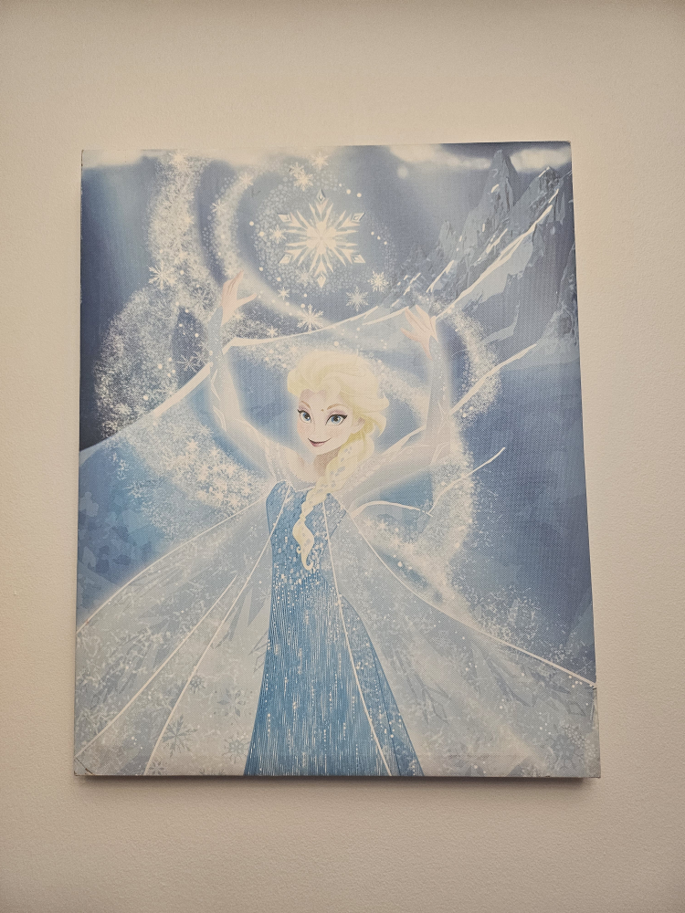 Frozen Canvas Wall Art - photo 3