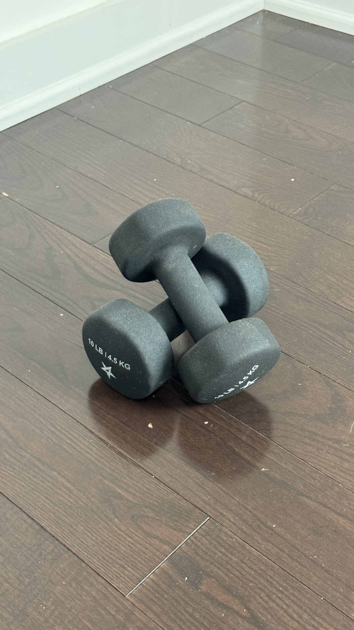 Two 10 lb Dumbbells - photo 3