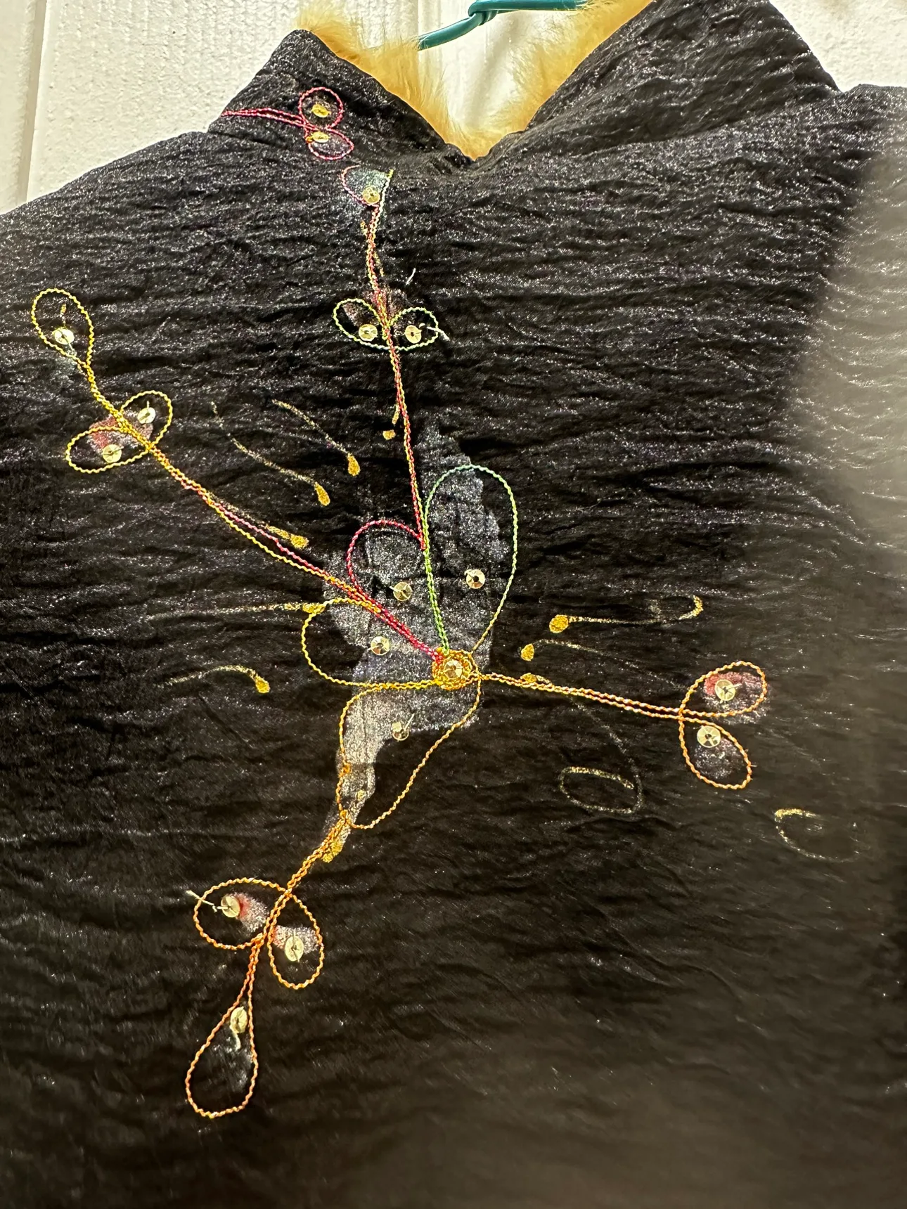 Embroidered Black pure Silk Jacket with Fur Trim image indicator(3)