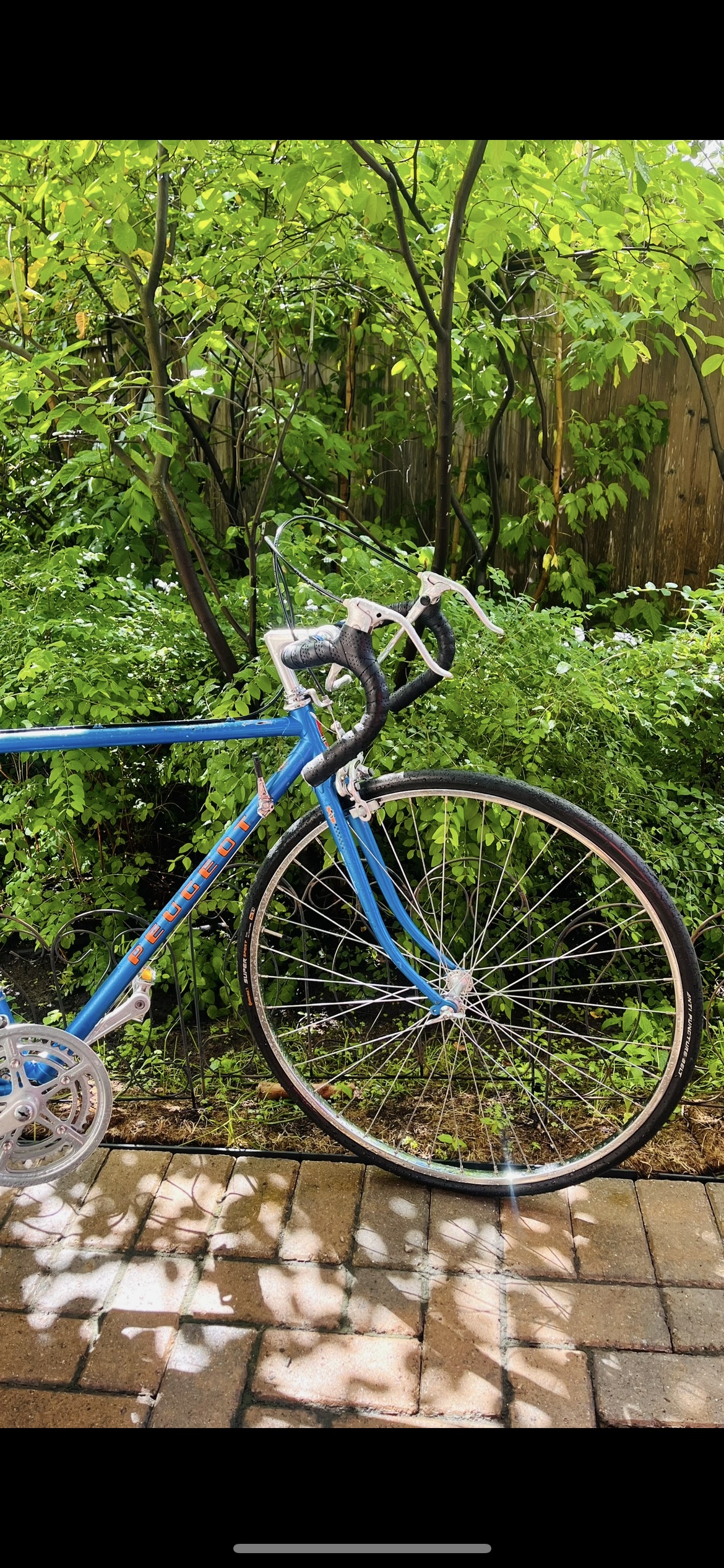 Peugeot Road Bike