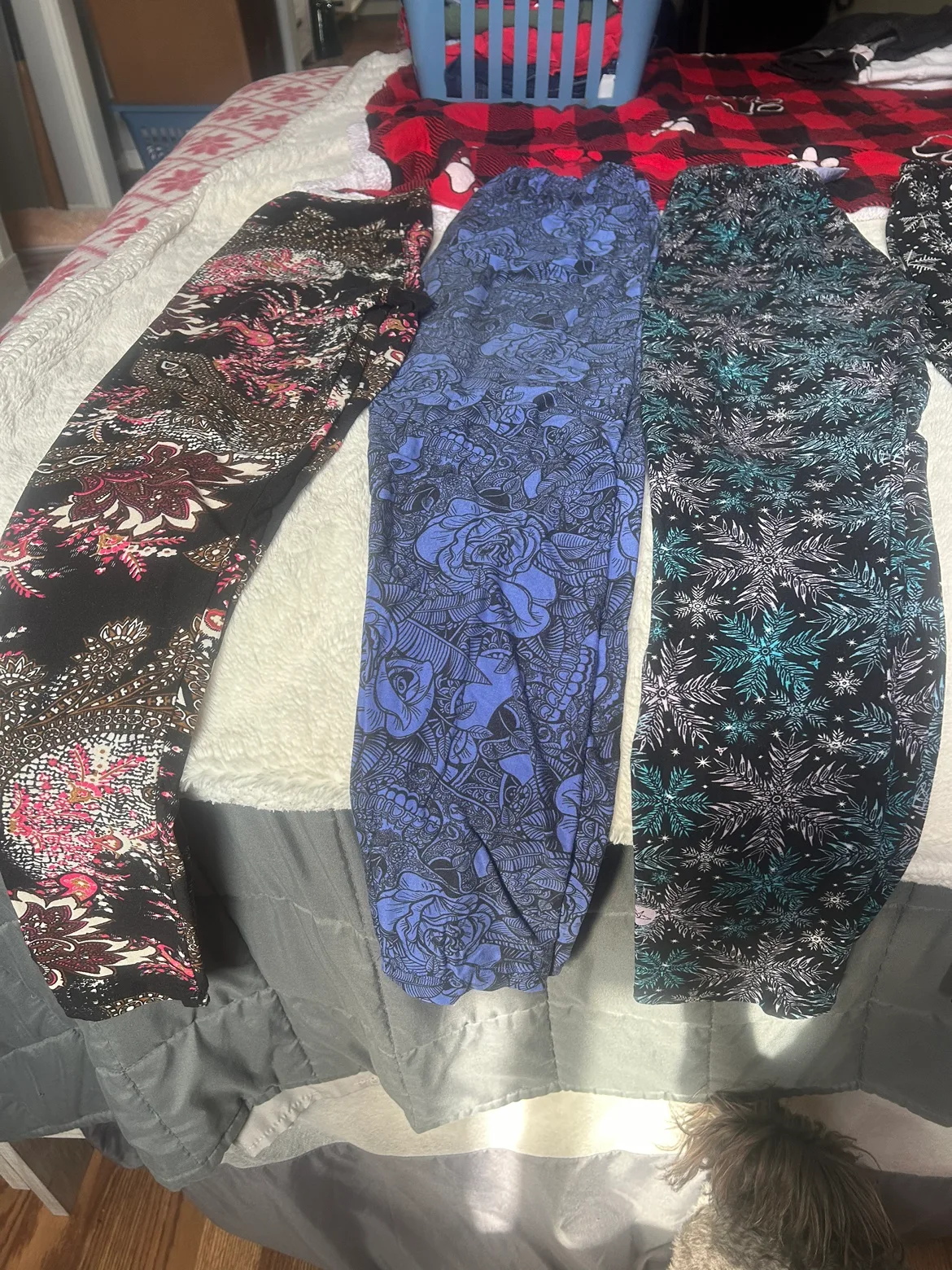 good price on sweet legs