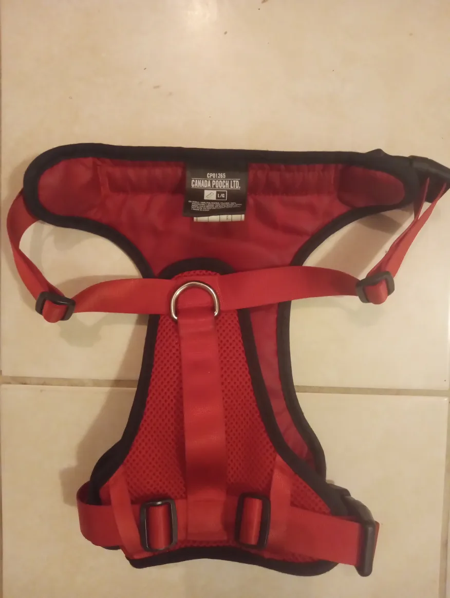 Red Dog Harness and Leash image indicator(2)
