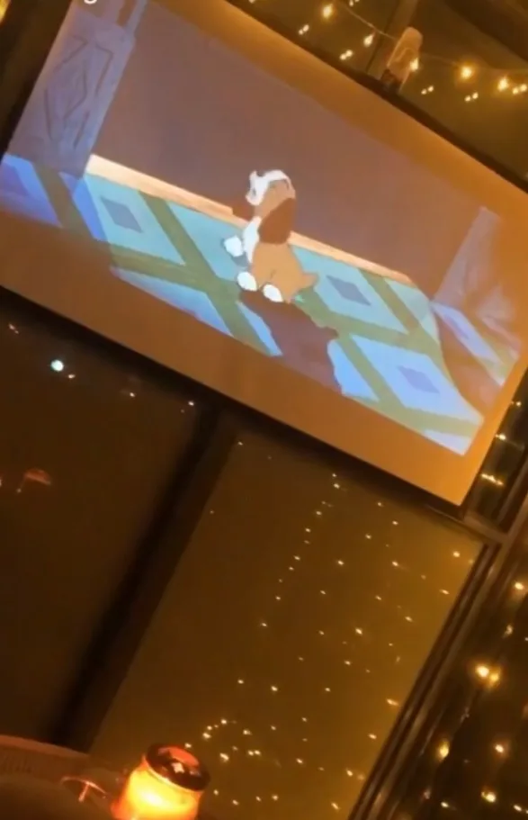 60 Inch Projector Screen thumbnail