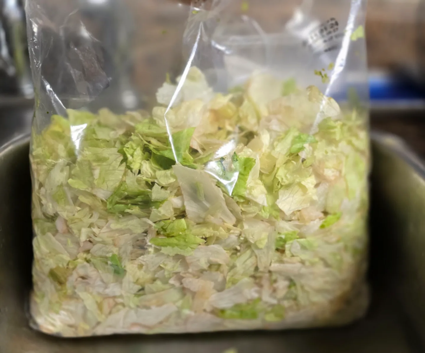 Freshly Shredded Lettuce thumbnail