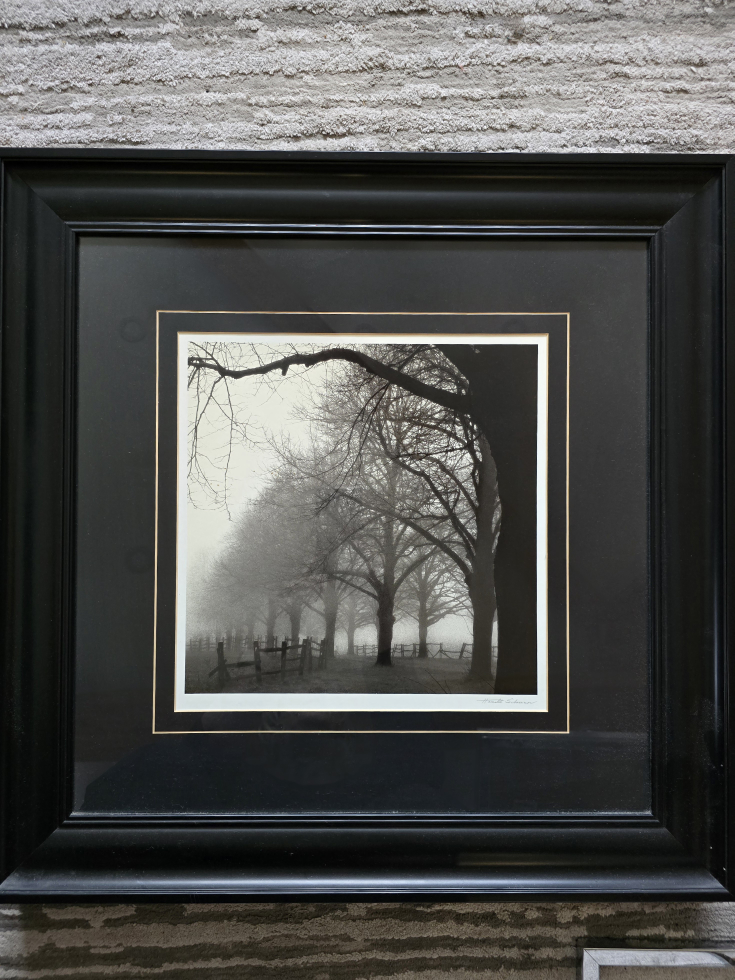 Set of 2 Framed Black and White Photograph - photo 2
