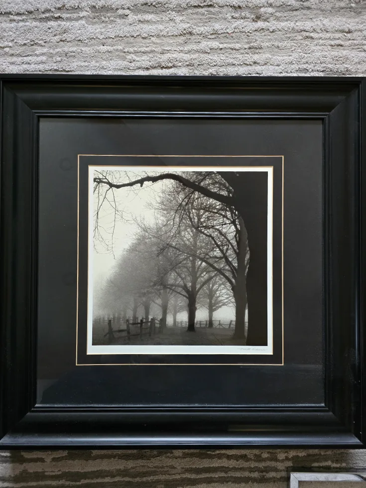 Set of 2 Framed Black and White Photograph image indicator(2)