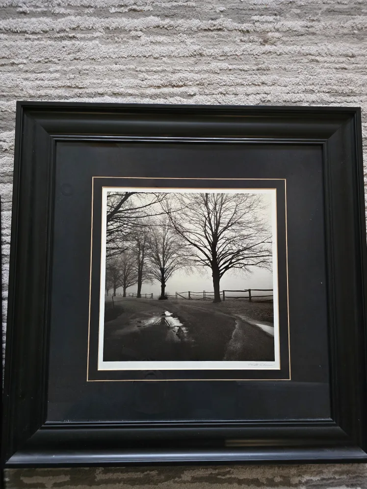 Set of 2 Framed Black and White Photograph image indicator(3)