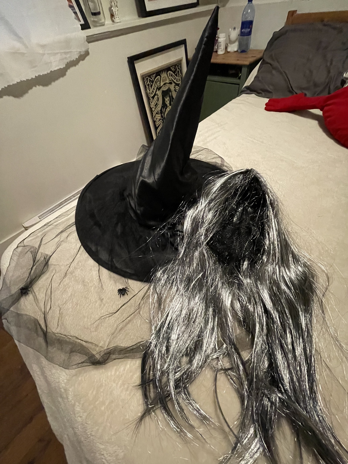 Witch Costume hat and wig