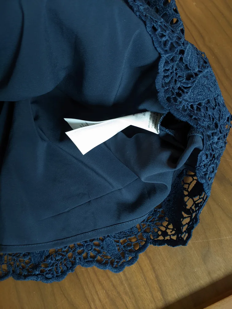 Abercrombie & Fitch Navy Blue Lace Dress image indicator(4)