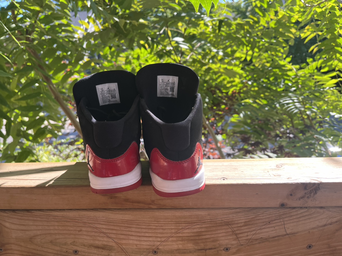 Air Jordan 11 - photo 2