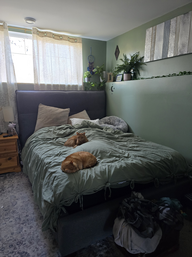 Queen Size Bed Frame - photo 5