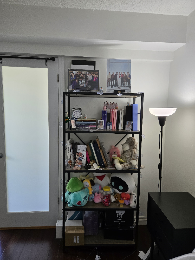 Black Metal Bookshelf