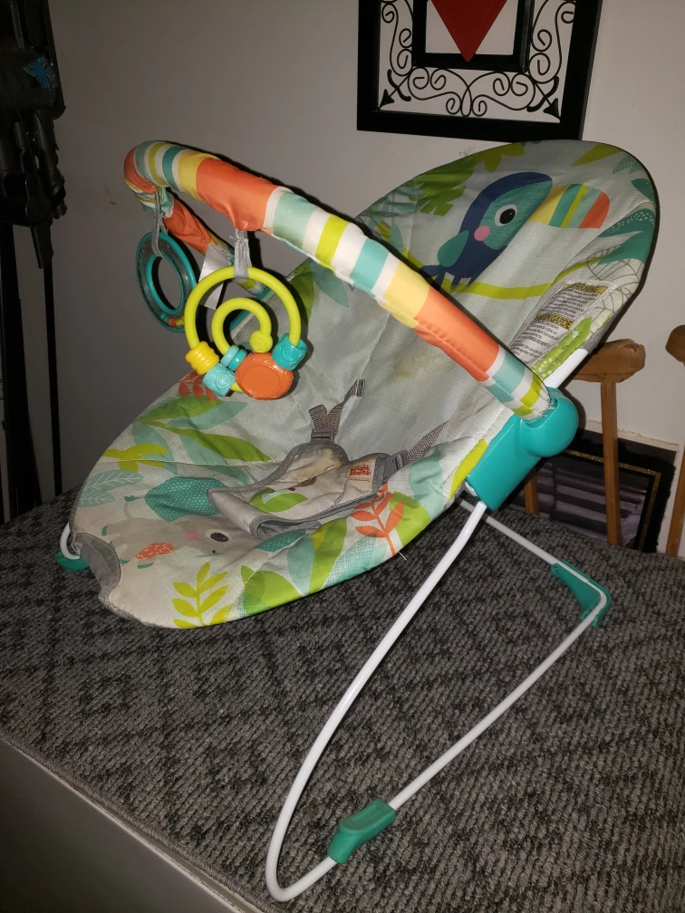 Baby Einstein Bouncer - photo 2