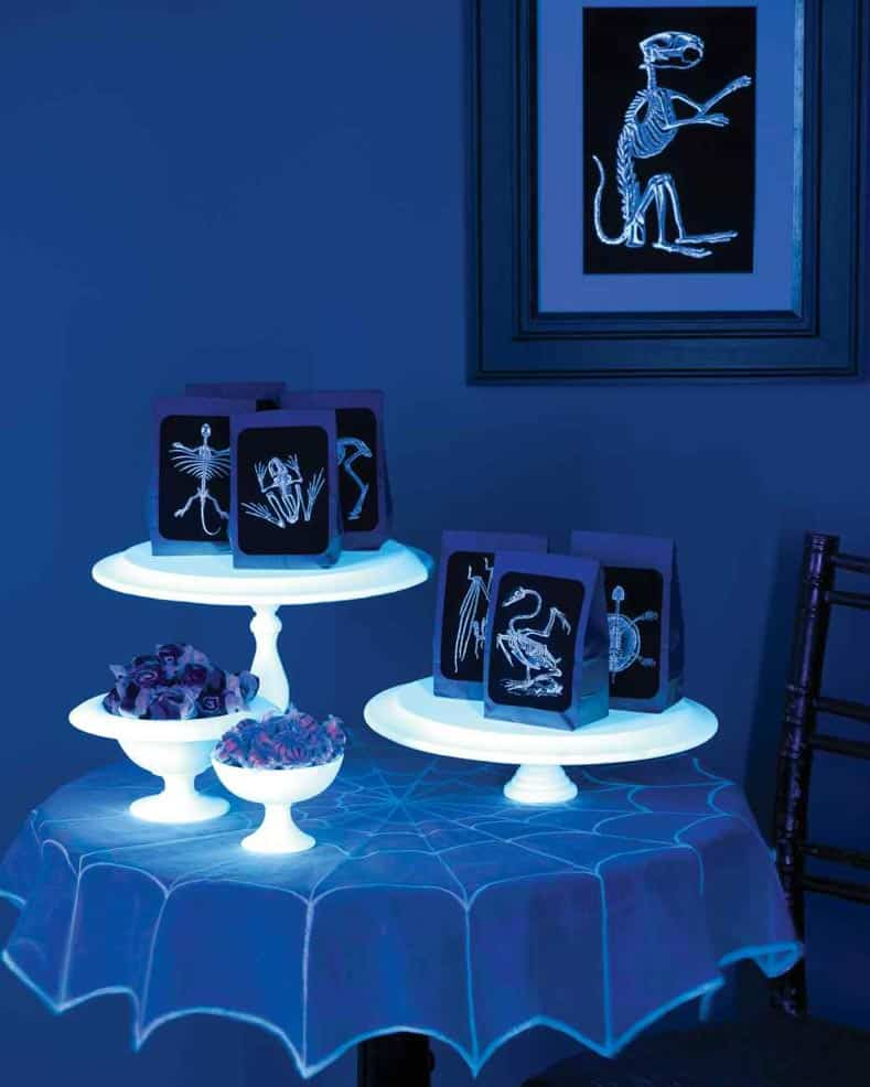 [Halloween & Kids ] UV Blacklight - 15W - photo 4