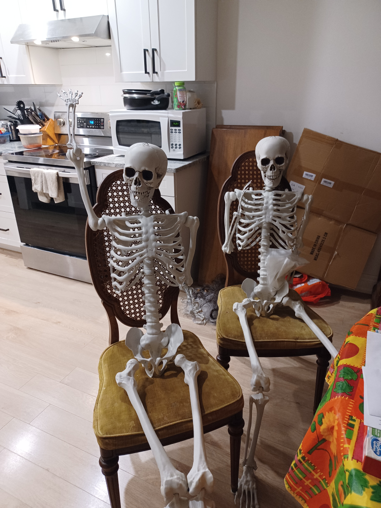 Skeleton Decorations