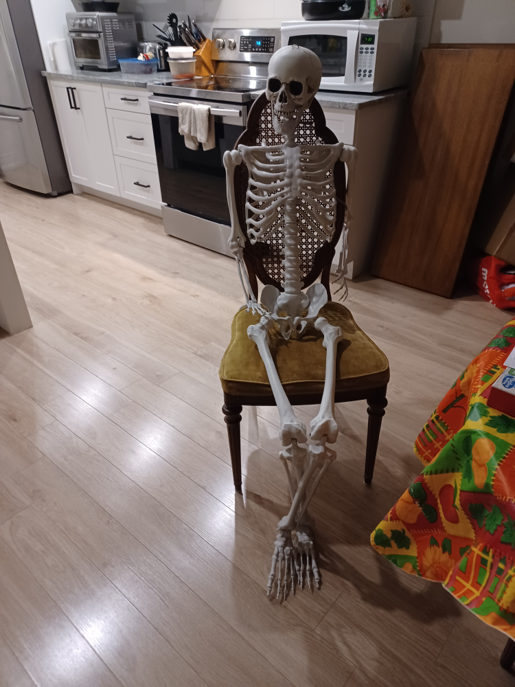 Skeleton Decorations - photo 2