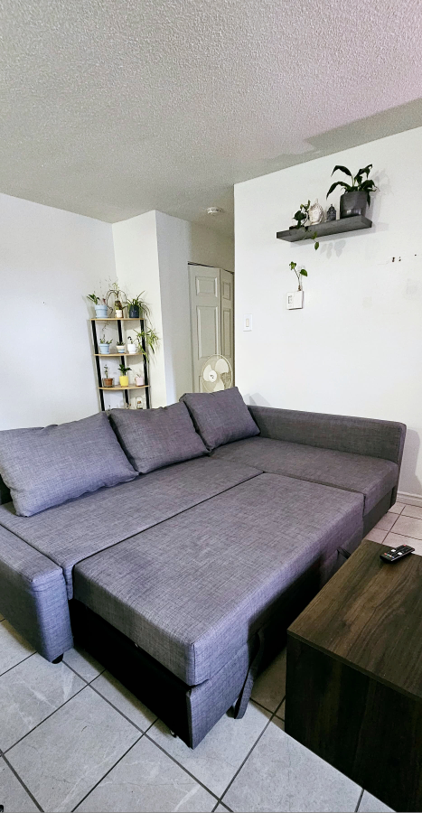 IKEA Friheten Sectional Sofa Bed