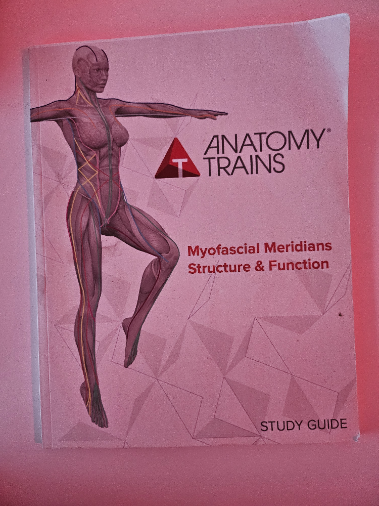 Anatomy Trains Study Guide