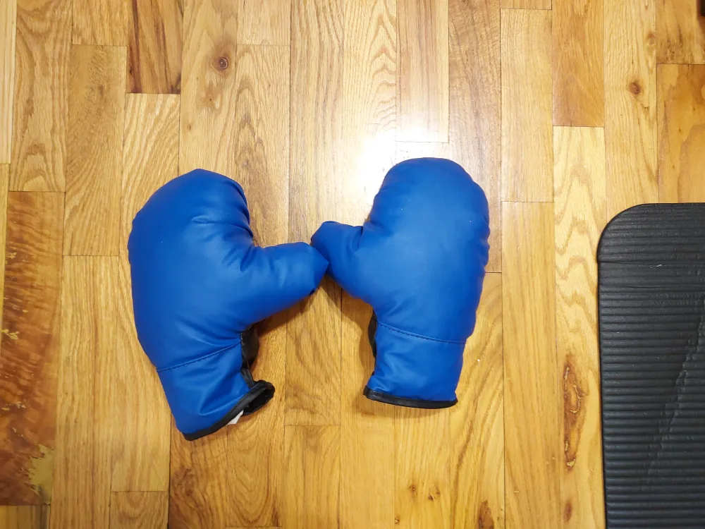 BRAND NEW Small/Medium Boxing Gloves thumbnail