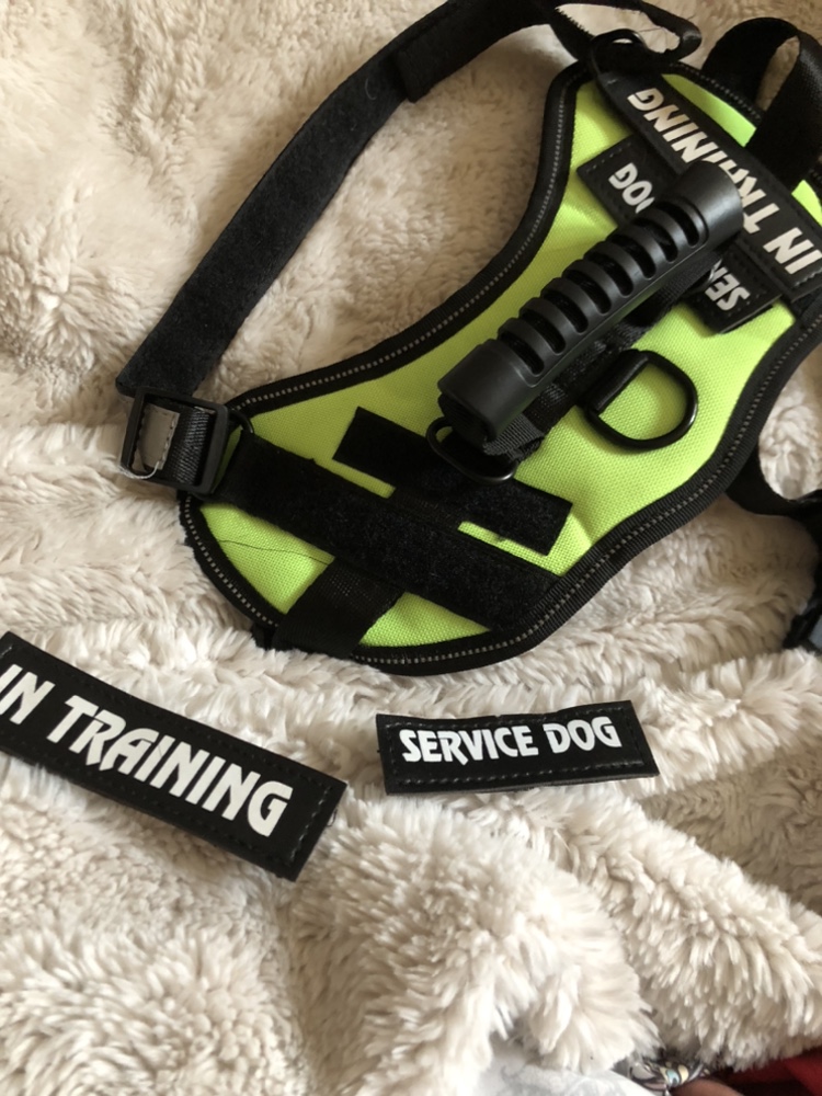 DOG SWEATERS AND HARNESSES - photo 4