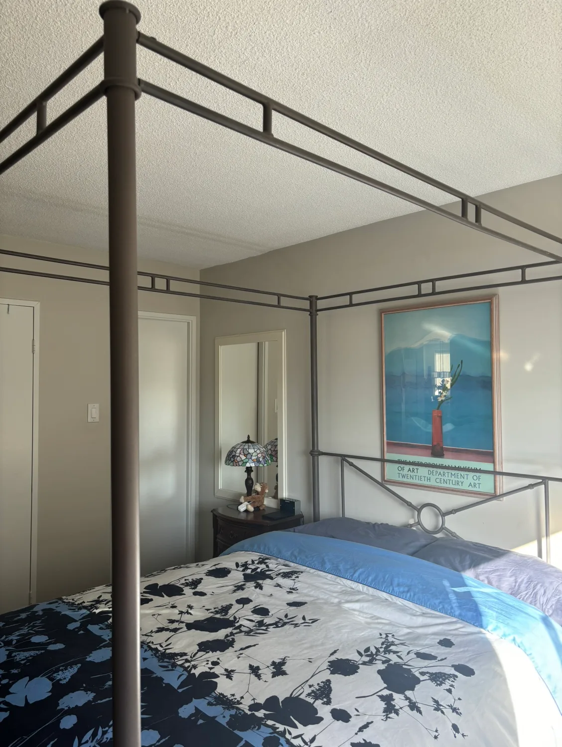 Metal Canopy Queen Size image indicator(9)