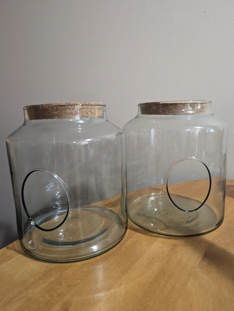 2 Terrarium Jars thumbnail