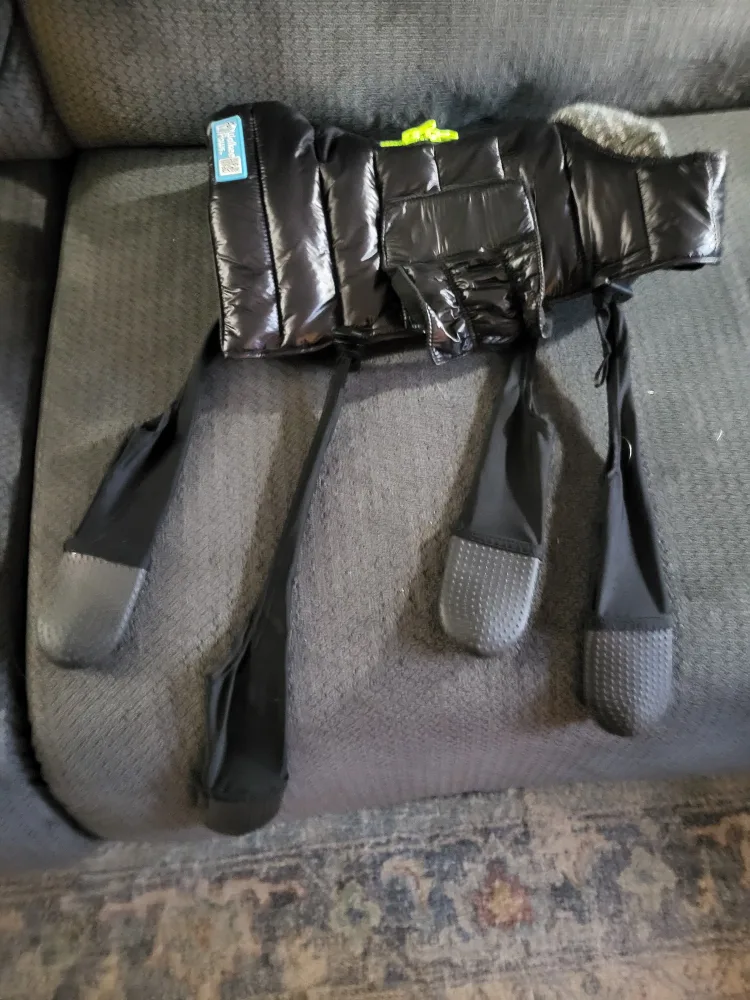 Dog Winter Boots and jacket image indicator(2)