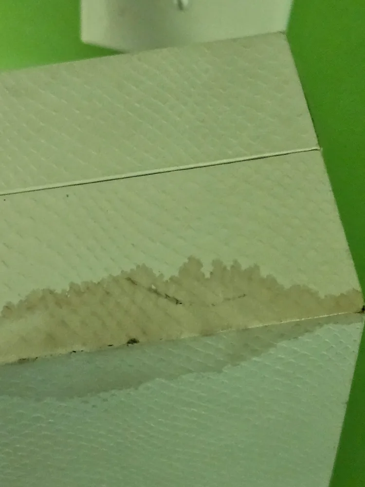 Just Cavalli Time Women's Silver Bracelet Watch image indicator(4)