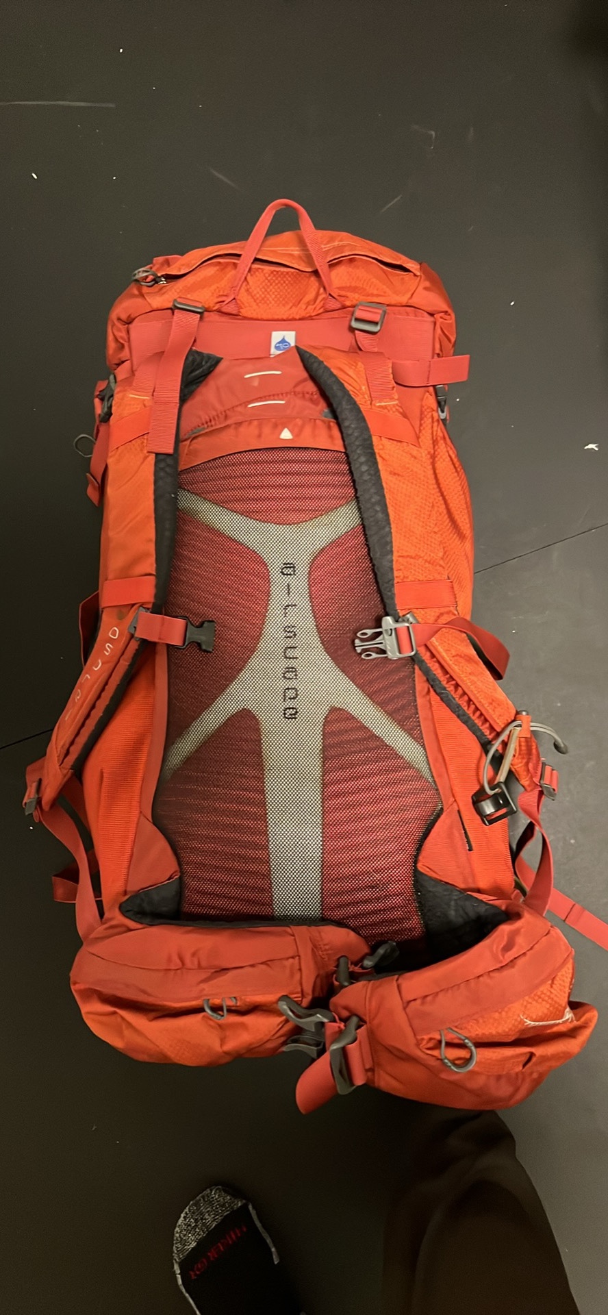 Osprey Kestrel 38 Backpack - photo 4