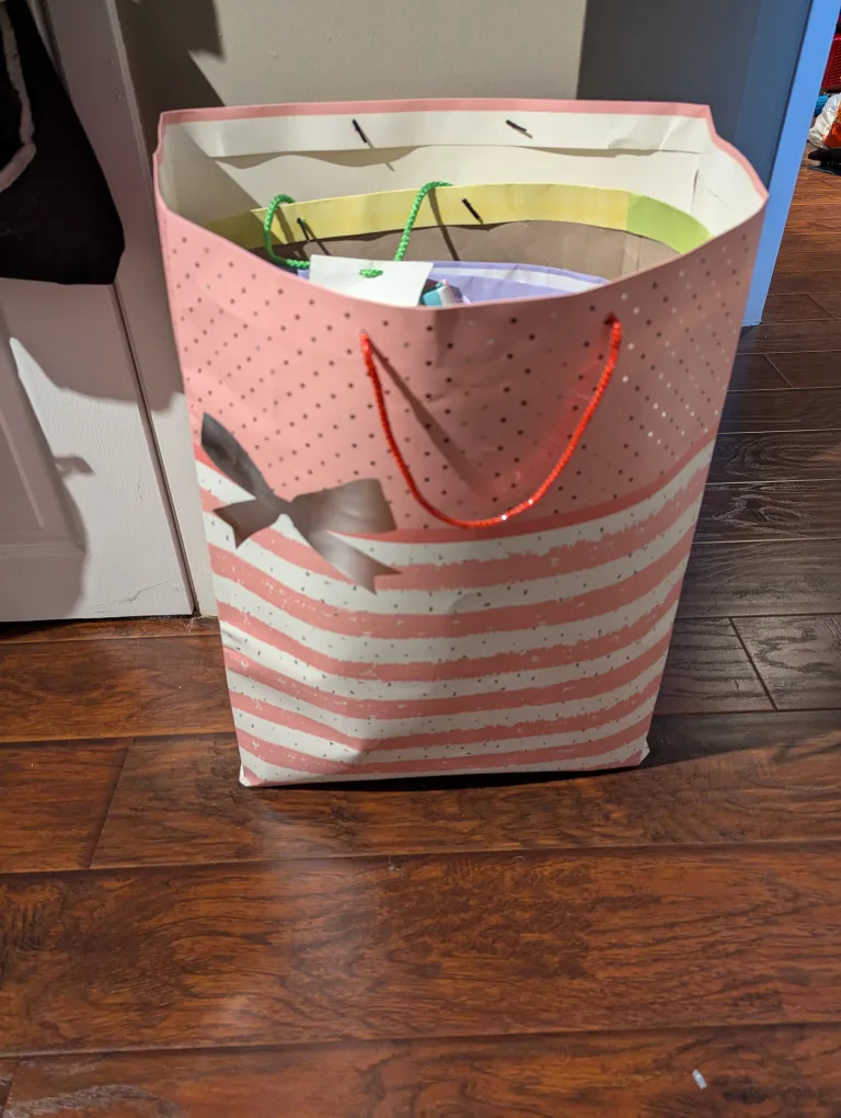 Gift Bags - Lot of 20+ and various sizes thumbnail