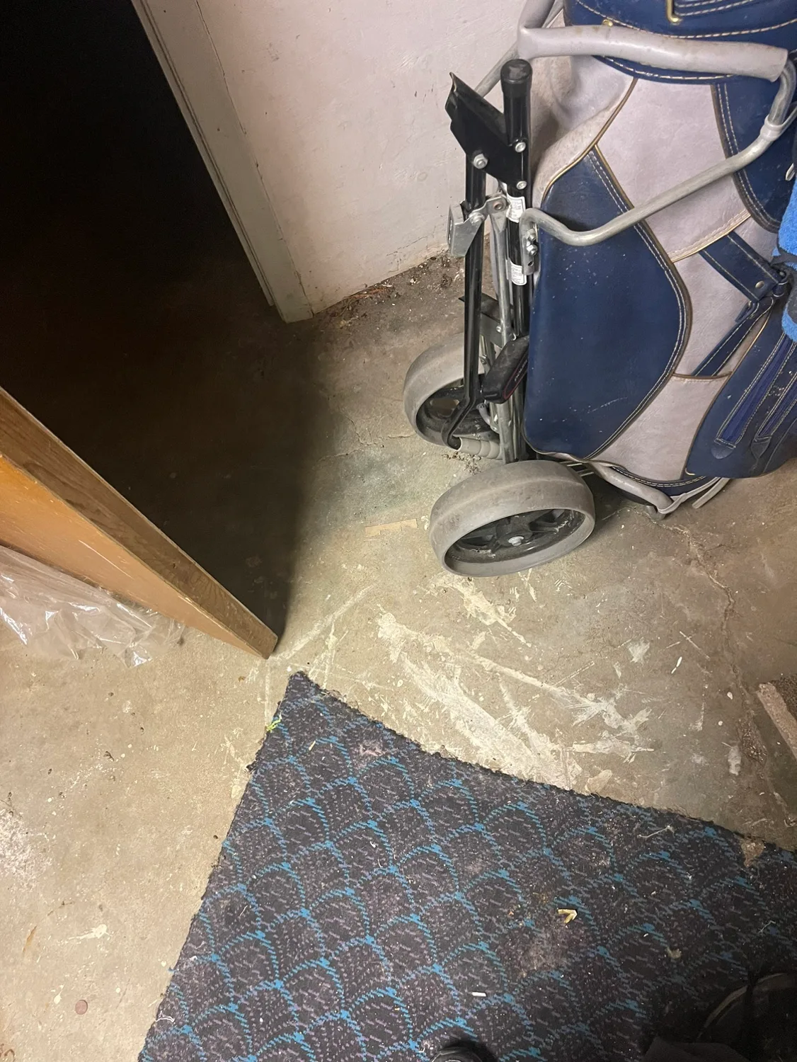 $ $75 !!! Scott Golf Set BAG & CART image indicator(4)