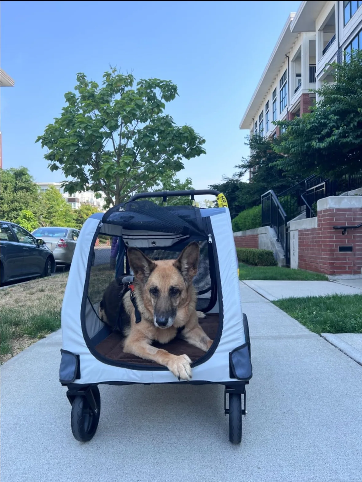 Dog Stroller - extra large size (open box - new) image indicator(6)