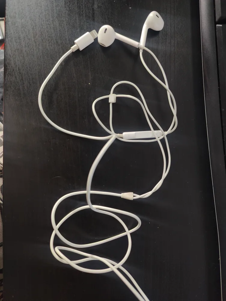 Apple wired earphones thumbnail