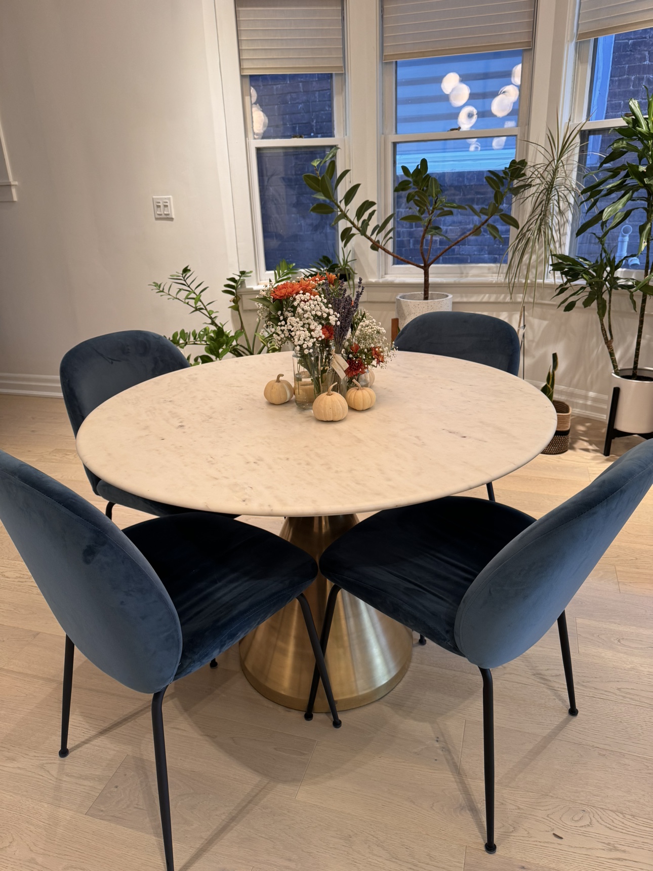 Structube Judith Velvet Dining Chairs (Blue)