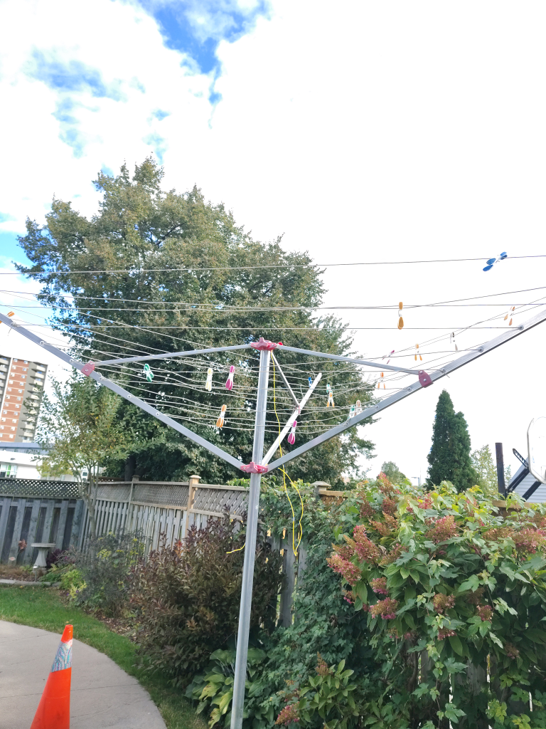 Outdoor Clothesline - photo 2