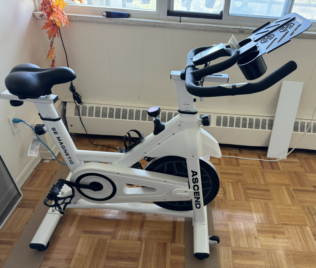 Ascend Indoor Cycle - photo 3