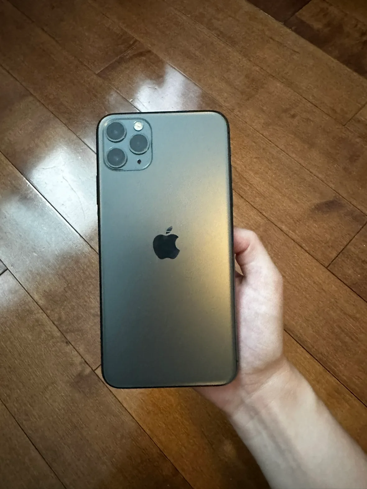 iPhone 11 Pro Max 256 GB image indicator(2)