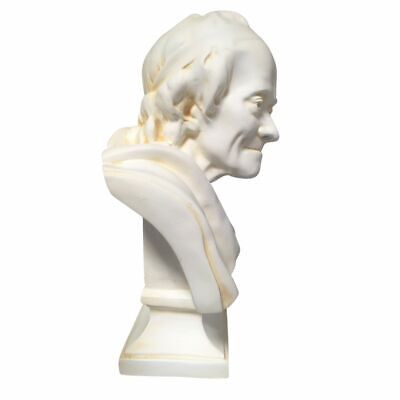 Voltaire Bust - photo 4