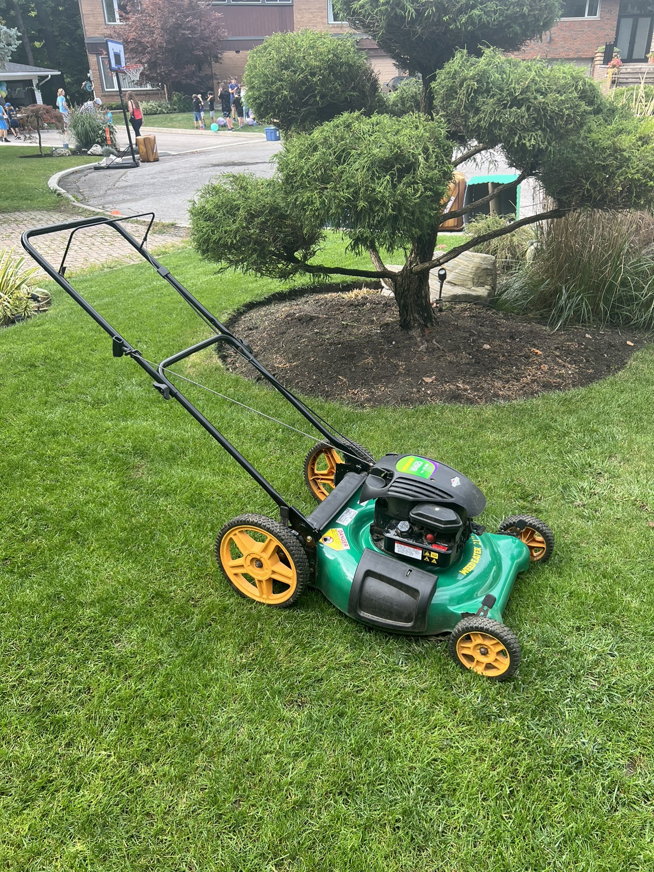 Weed Eater Lawn Mower