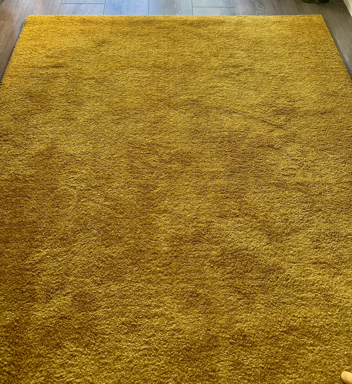 Indoor rug (Mustard) thumbnail