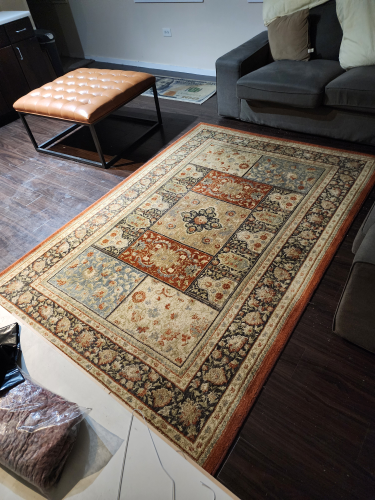 Area Rug - photo 2