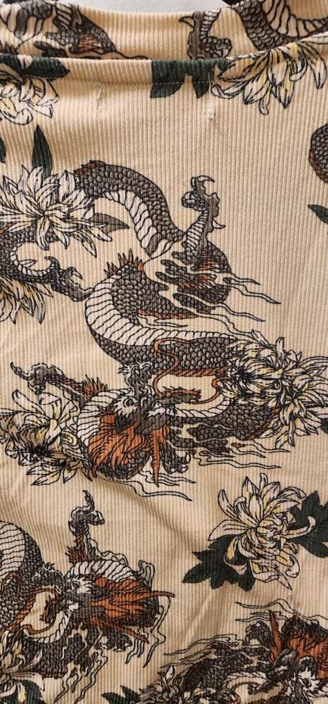 Streetwear Society Dragon Print Long Sleeve Crop Top - photo 3