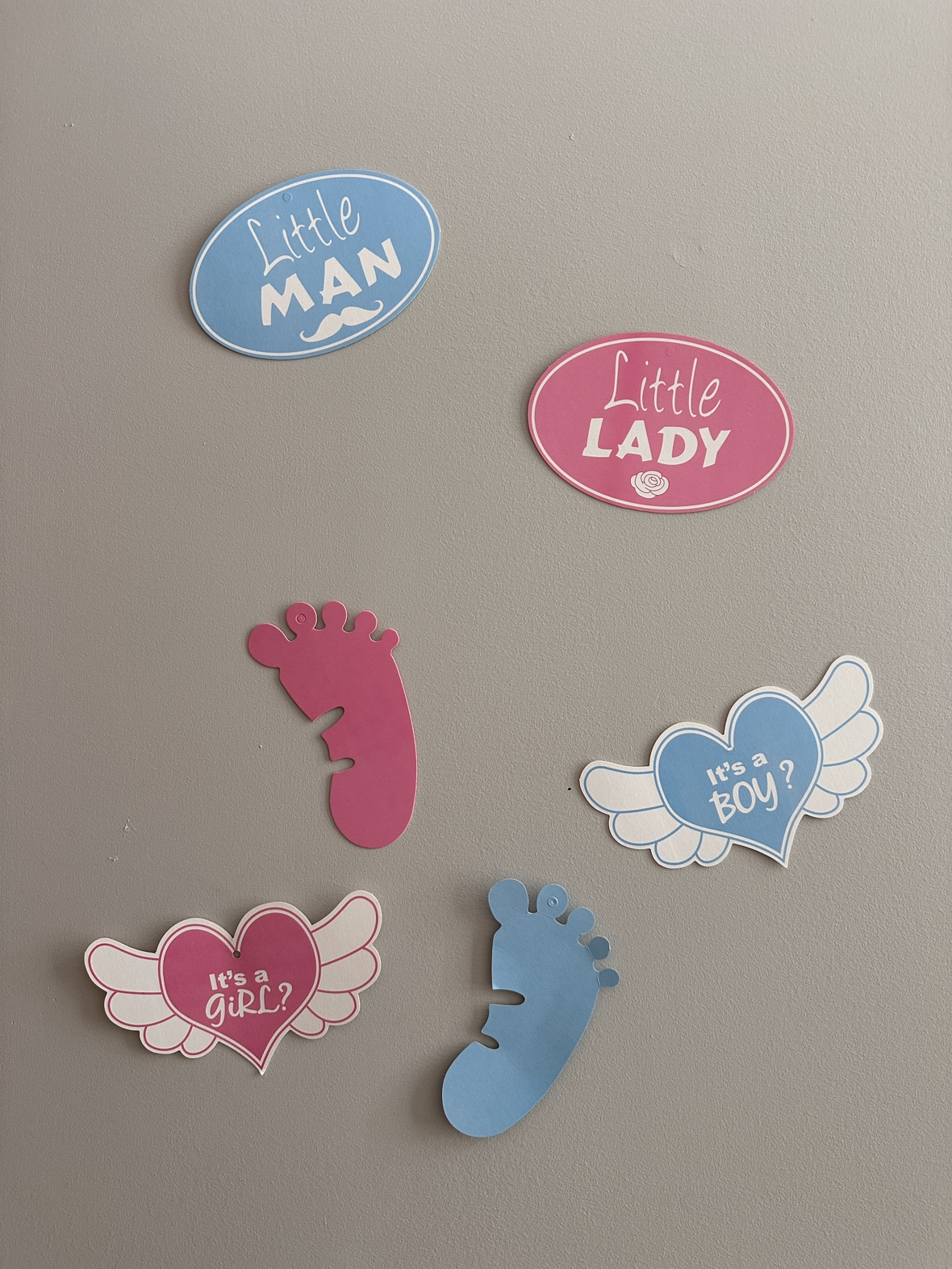 Gender Reveal Party Decorations - photo 2