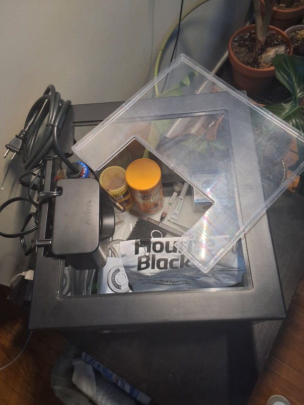 10 Gallon Aquarium Set Up - photo 3