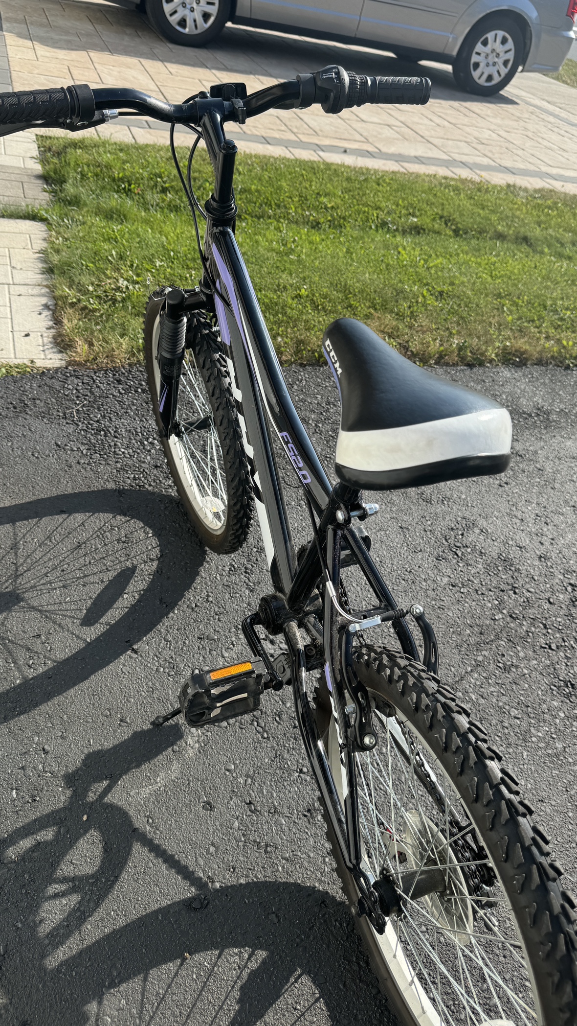 LHM FS20 6 Speed Bike - photo 5