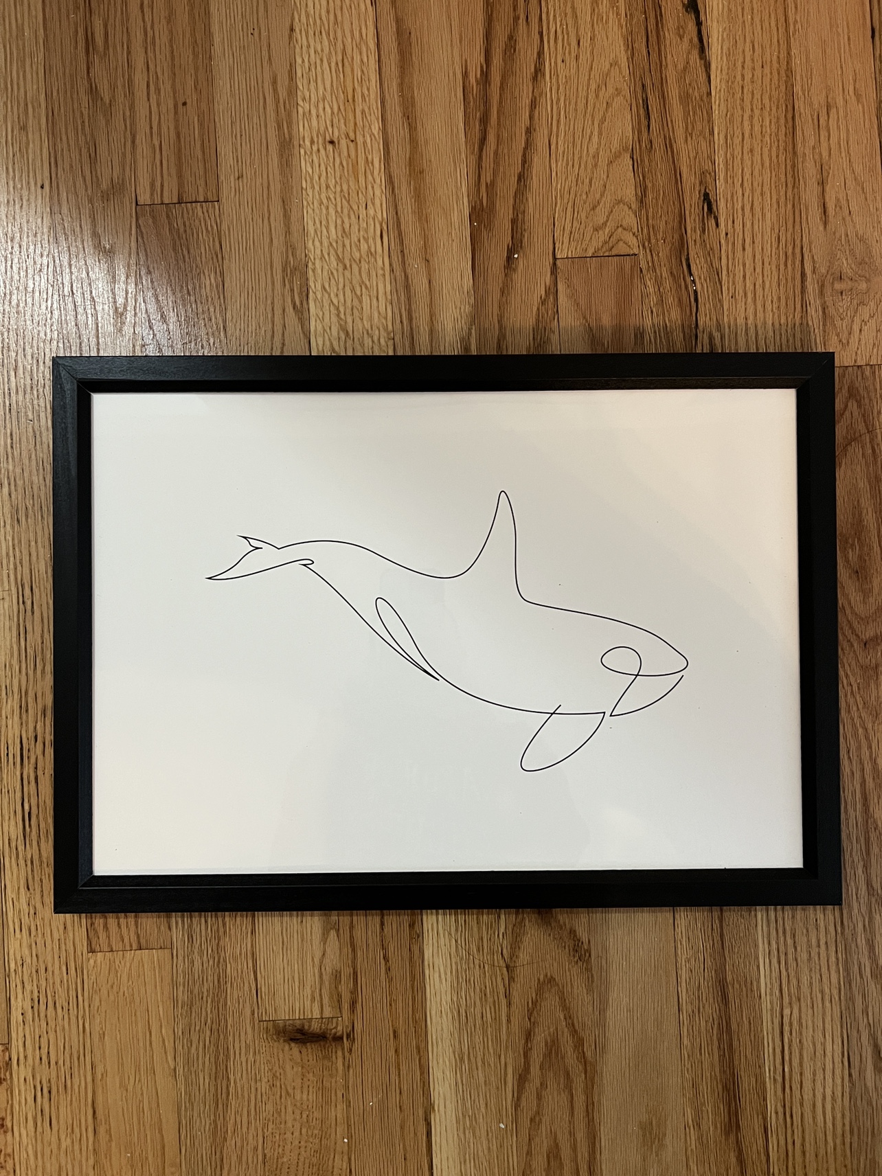 Framed Orca One-Line Drawing