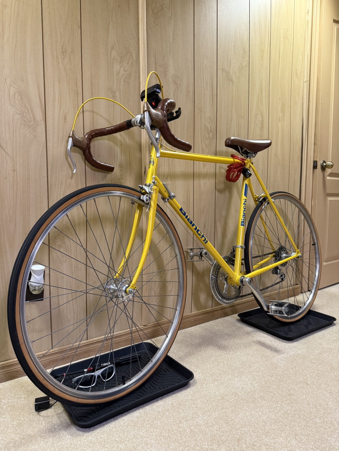 Vintage Bianchi Bike
