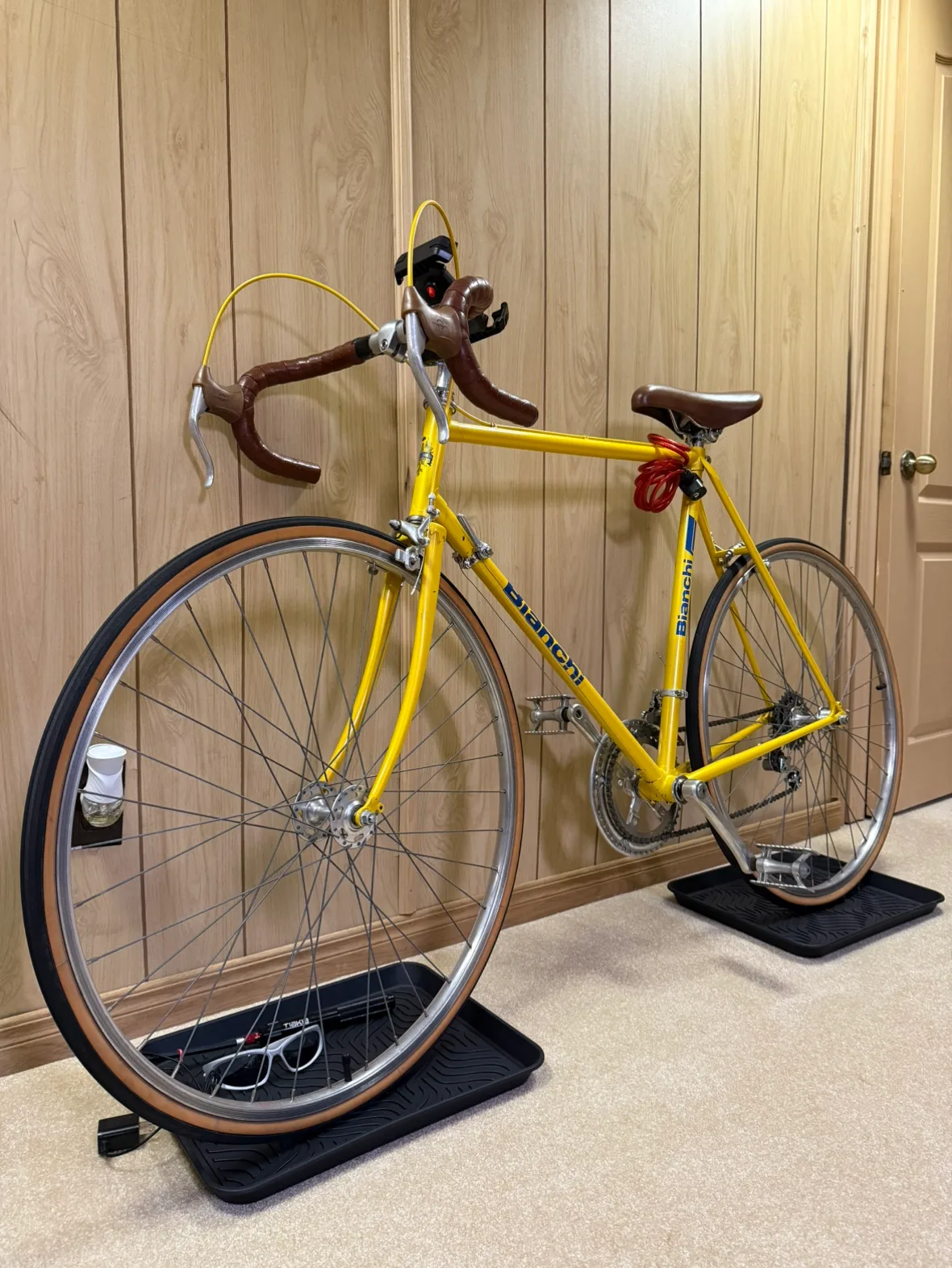 Vintage Bianchi Bike